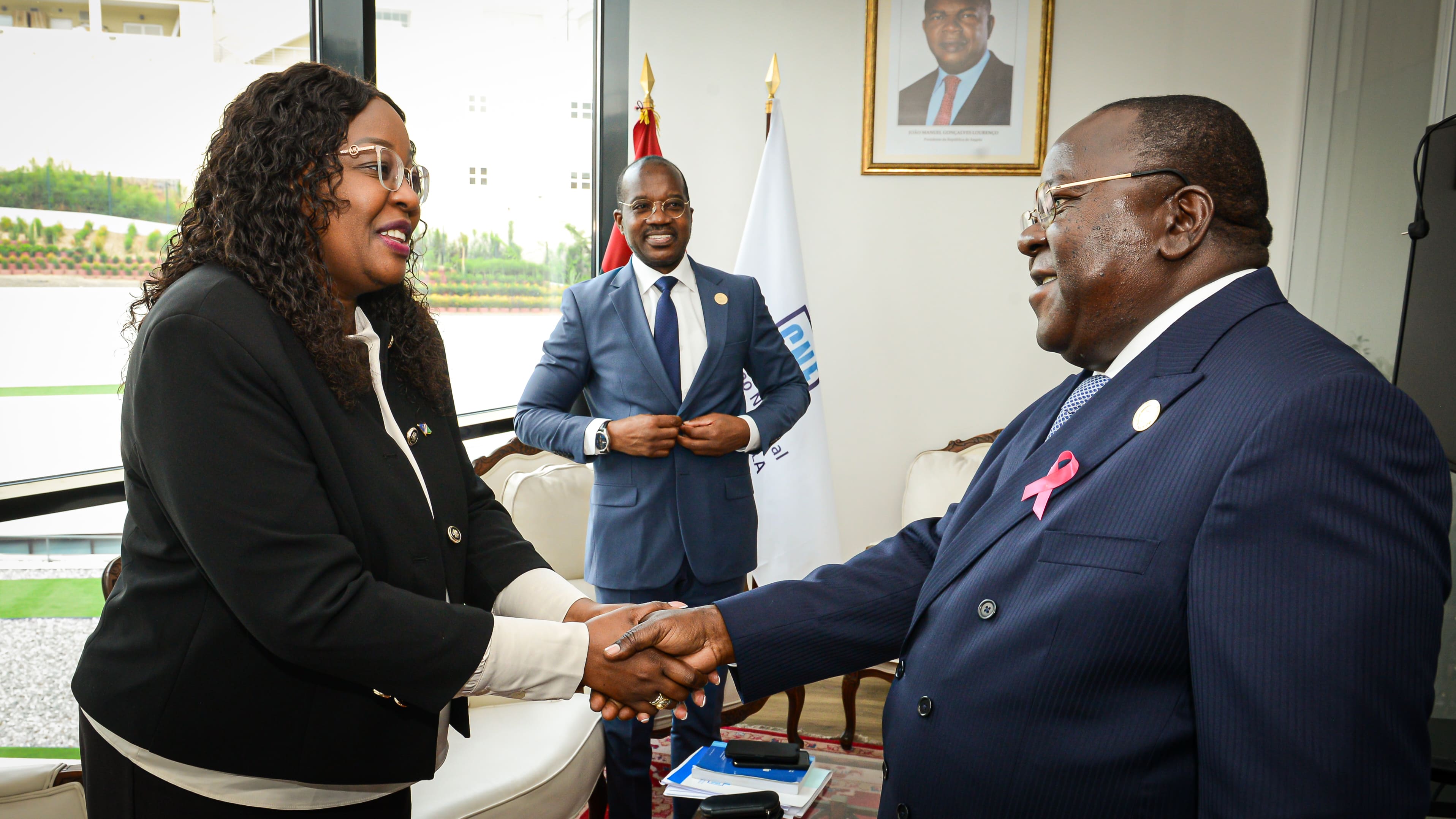 CNE da Namíbia está em Angola para entender como são organizados e realizados os processos eleitorais.